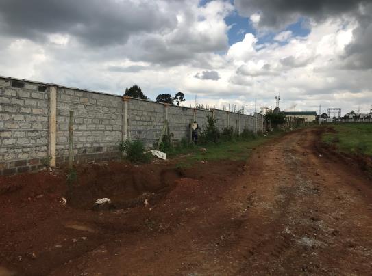 Perimeter wall and external site works